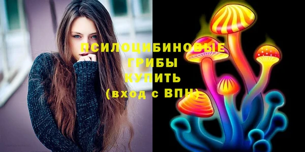 индика Баксан
