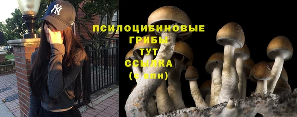 mdpv Белоозёрский