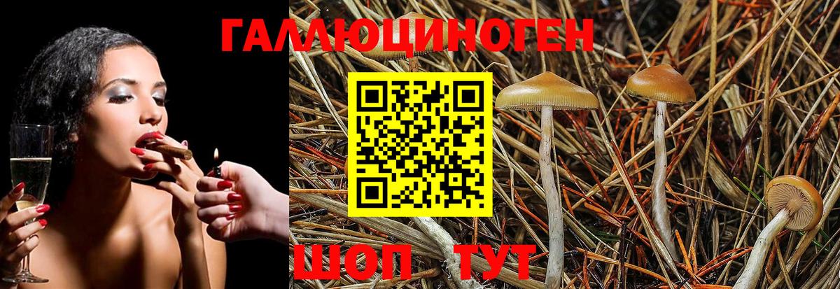 Галлюциногенные грибы Psilocybine cubensis  купить наркотик  Вход с VPN  Лыткарино  Галлюциногенные грибы GOLDEN TEACHER 